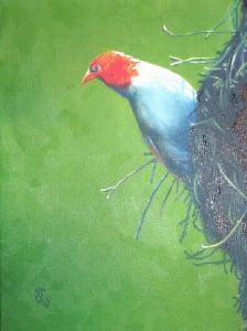 "Red-Headed Weaver"