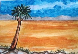 "Namaqualand"