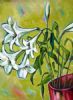 "St Josephine Lilies"