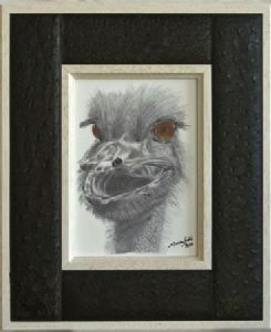"Ostrich Funny Face"