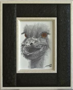 "Ostrich Funny Face"