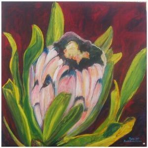 "Protea"