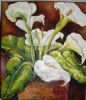 "Arum Lilies"