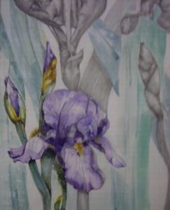 "Iris"