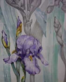 "Iris"