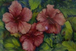 "Hibiscus"