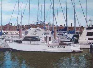 "559 Boat Tailwalker"