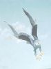 "Blue Falcon"