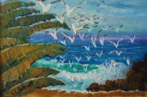 "Sardine Run, Kwa-Zulu Natal"