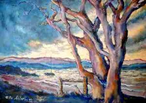 "Lagoon Tree"