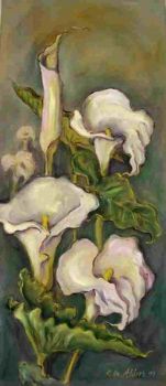 "Terre Verte Arum Lilies"