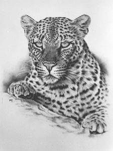 "Leopard"