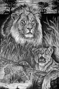 "Grace of the Lion"