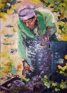 "Xhosa Woman Picking Grapes Iii"