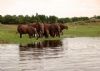 "Lost Scenes Lake Kariba No. 6 of 33"