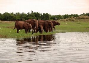 "Lost Scenes Lake Kariba No. 6 of 33"
