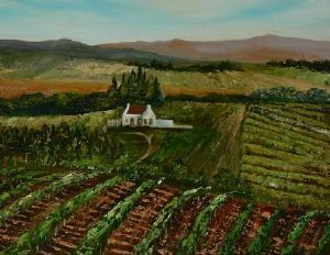"vineyard"