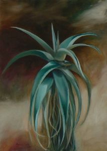 "Aloe on Umber"