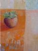 "Gasteria, Succulent Series"