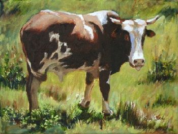 "Nguni 21"