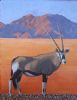 "Oryx - Late Afternoon "