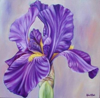 "Purple Iris 2"