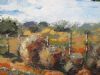 "Tolbosse Karoo"