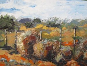 "Tolbosse Karoo"