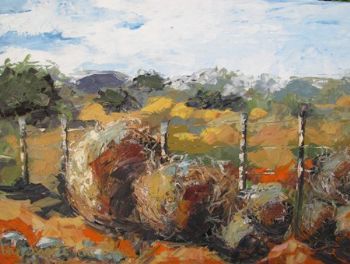 "Tolbosse Karoo"