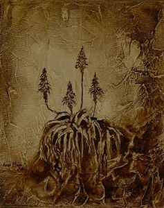 "Aloe Drawing with 4 flowers"