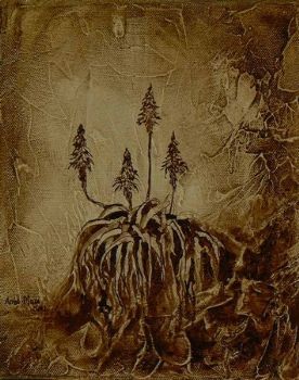 "Aloe Drawing with 4 flowers"