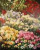 "Spring Garden"
