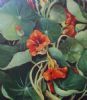 "Nasturtiums"