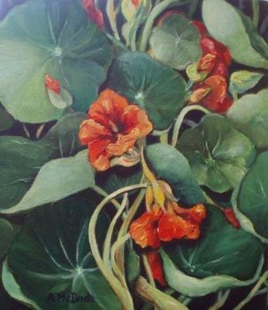 "Nasturtiums"