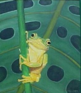 "Tree Frog"