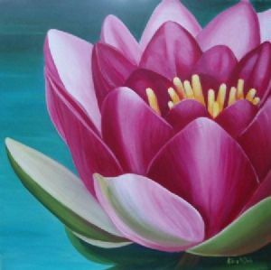 "Waterlily Close Up"