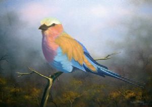 "Lilacbreasted Roller"