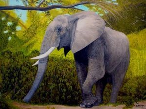 "Elephant Shady Stroll"