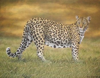 "Leopard"
