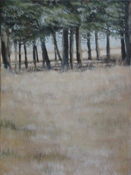 "Trees in Winter landscape"