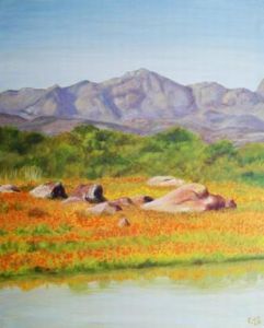 "Water in Namaqualand"