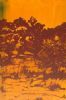 "River View One"