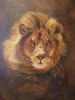 "Lion of Judah"