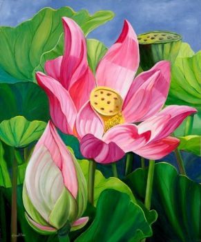 "Lotus Flowers"