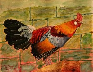 "Rooster - Print"