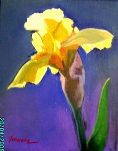 "iris 1"