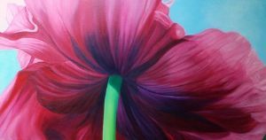"Poppy And Blue Sky"