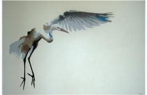 "Egret Swoop"