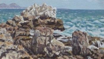 "Gansbaai in the distance"