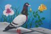 "Tretchicoff Pigeon's Luck 1978-2009"